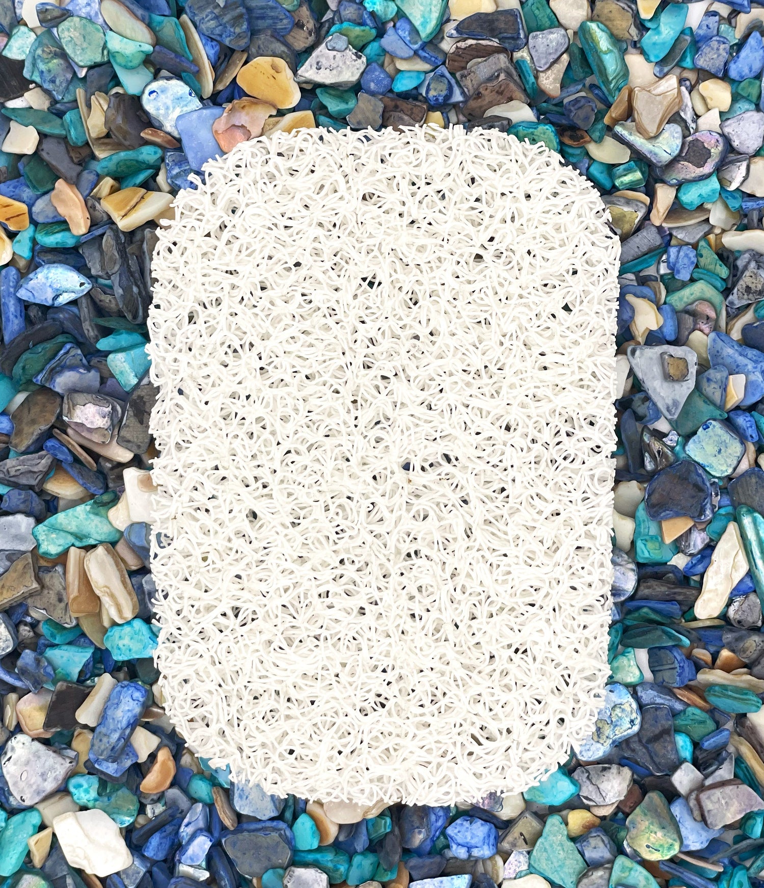 Must Have Accessories